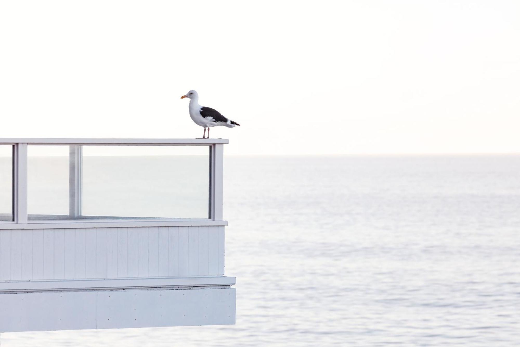 Pacific Edge Hotel Laguna Beach Bagian luar foto